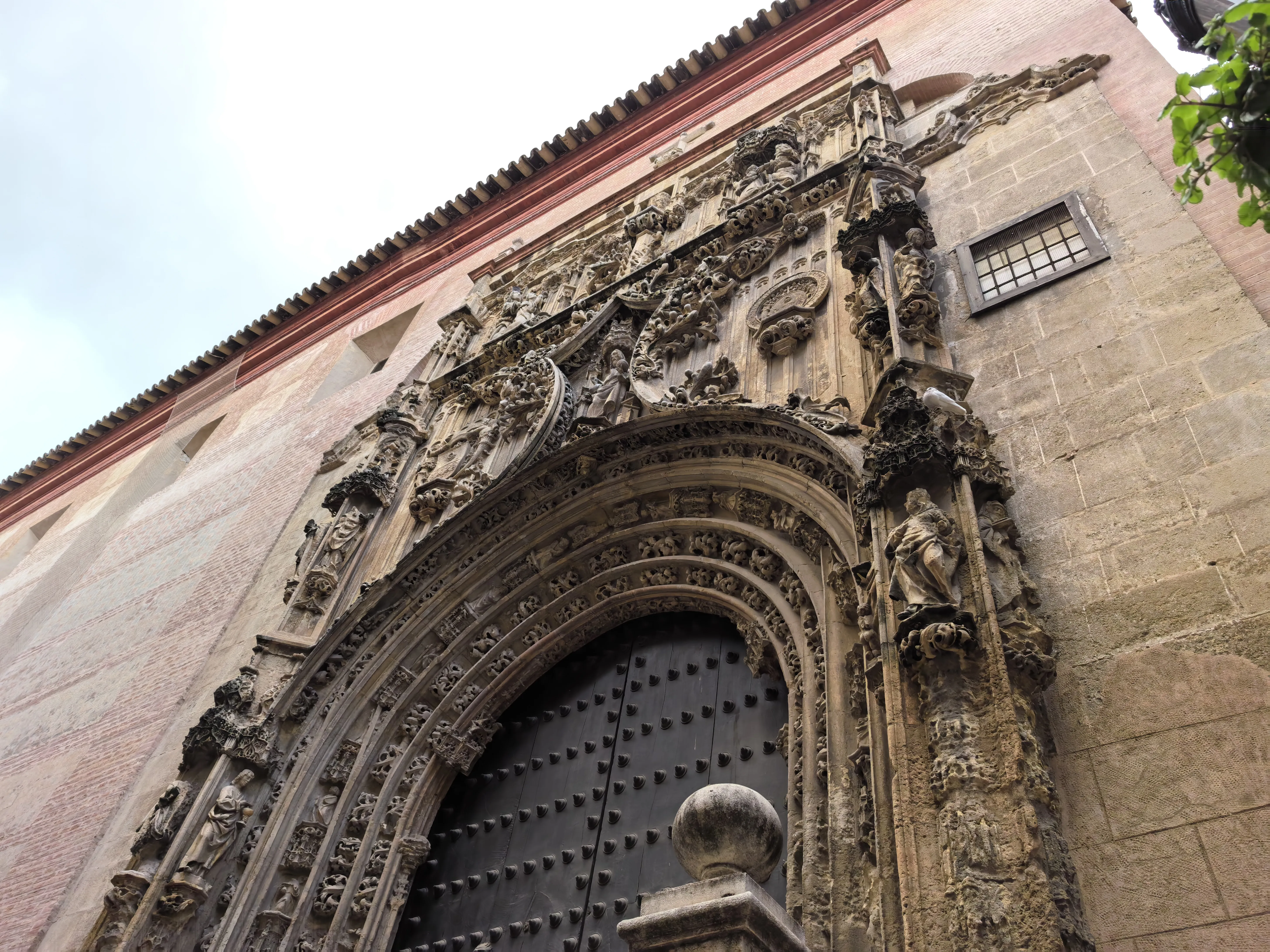 HUAWEI Pura 70 Ultra - System Aparatów - IMG_20251117_165109.webp